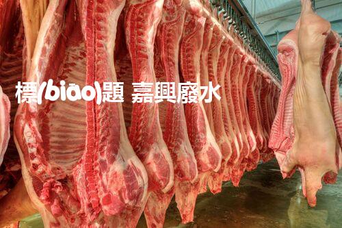 標(biāo)題 嘉興廢水處理廠家：解密行業(yè)隱形冠軍？